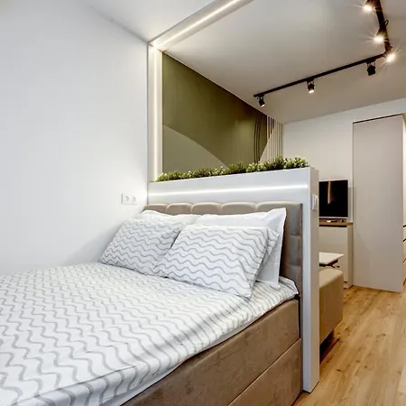 Newly Renovated Comfortable First-floor * 소피아