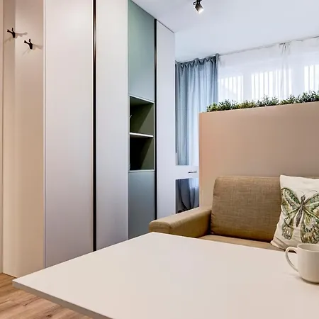 Newly Renovated Comfortable First-floor